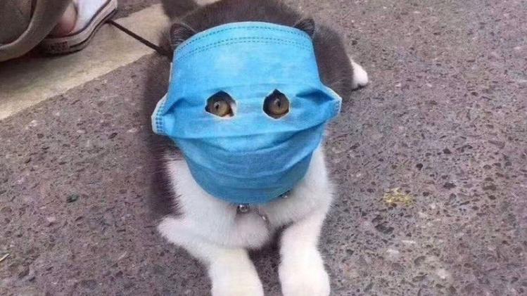 chat